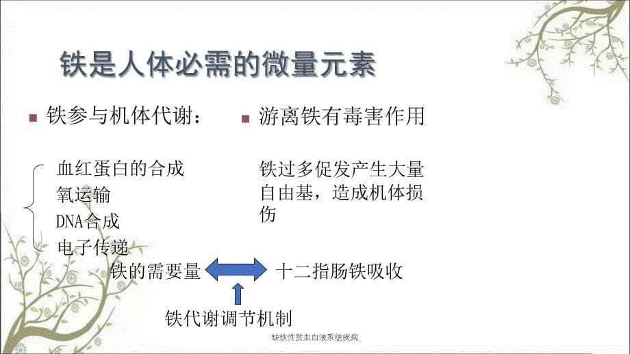 缺铁性贫血血液系统疾病_第5页