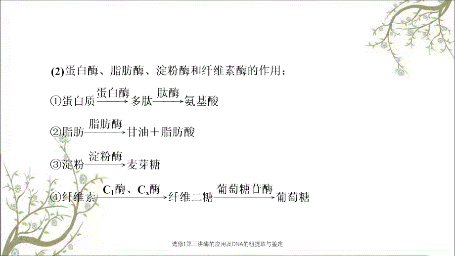 选修1第三讲酶的应用及DNA的粗提取与鉴定_第2页