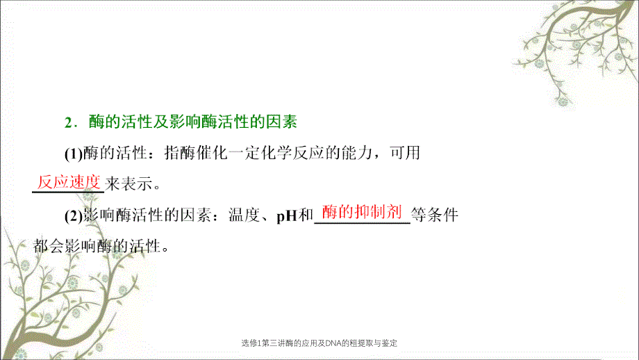 选修1第三讲酶的应用及DNA的粗提取与鉴定_第3页