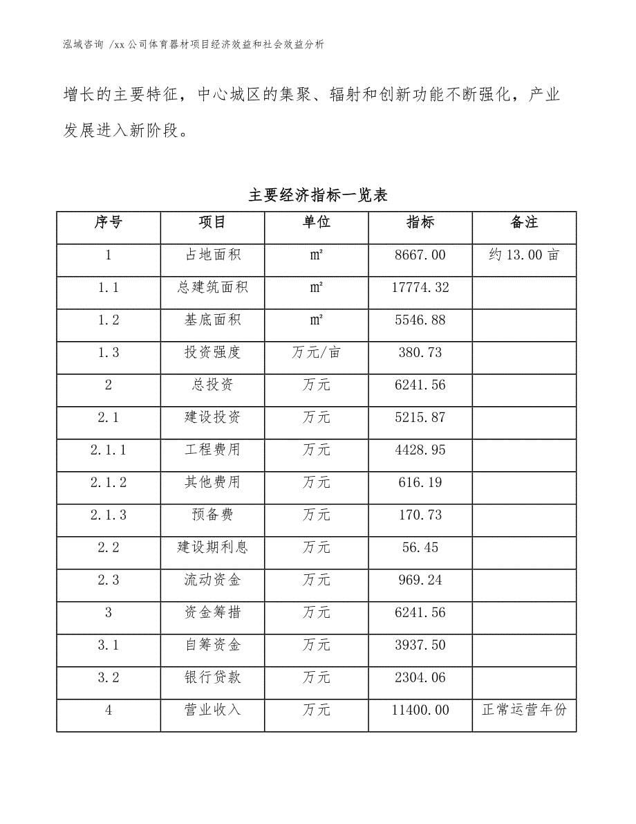 xx公司体育器材项目经济效益和社会效益分析（模板）_第5页