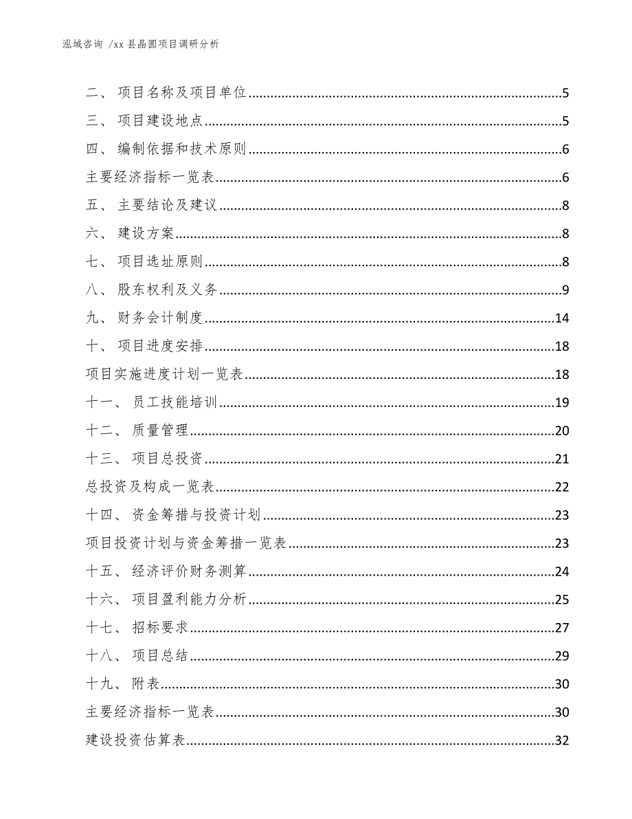 xx县晶圆项目调研分析（参考模板）_第2页