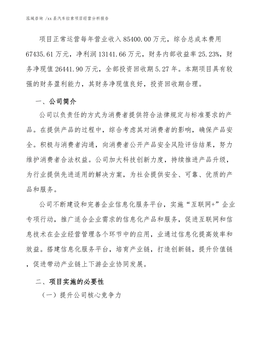 xx县汽车拉索项目经营分析报告（参考模板）_第4页