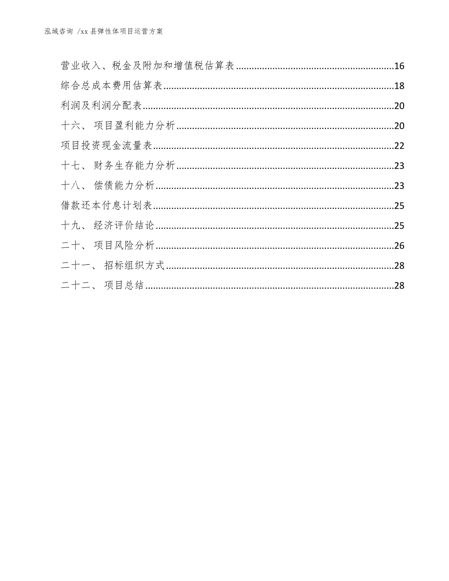 xx县弹性体项目运营（模板参考）_第3页