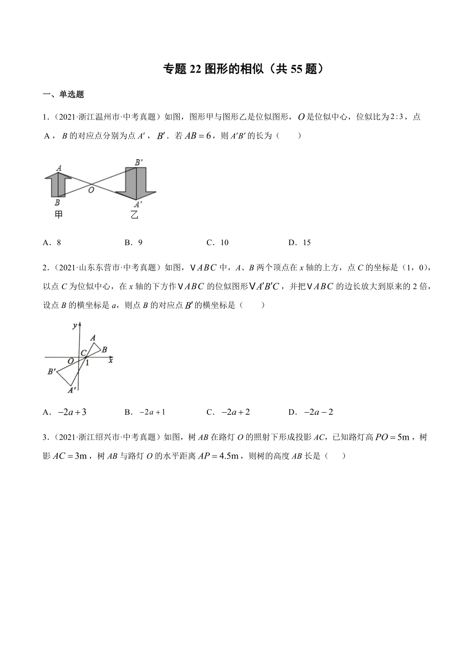 2021年全国中考数学真题专项训练22 图形的相似（共55题）-（原卷+解析）_第1页