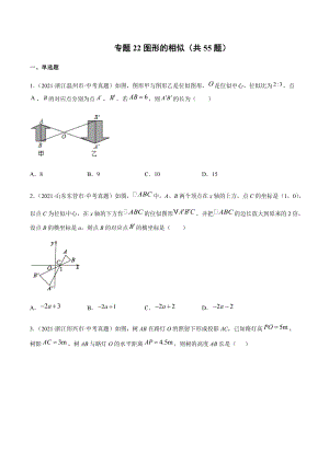 2021年全国中考数学真题专项训练22 图形的相似（共55题）-（原卷+解析）