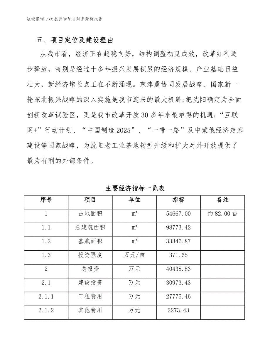 xx县拌面项目财务分析报告（范文参考）_第5页