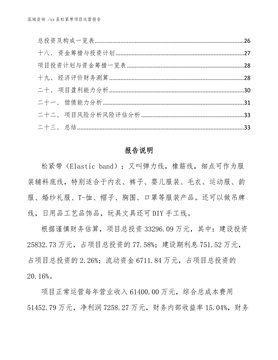 xx县松紧带项目运营报告（模板参考）_第2页