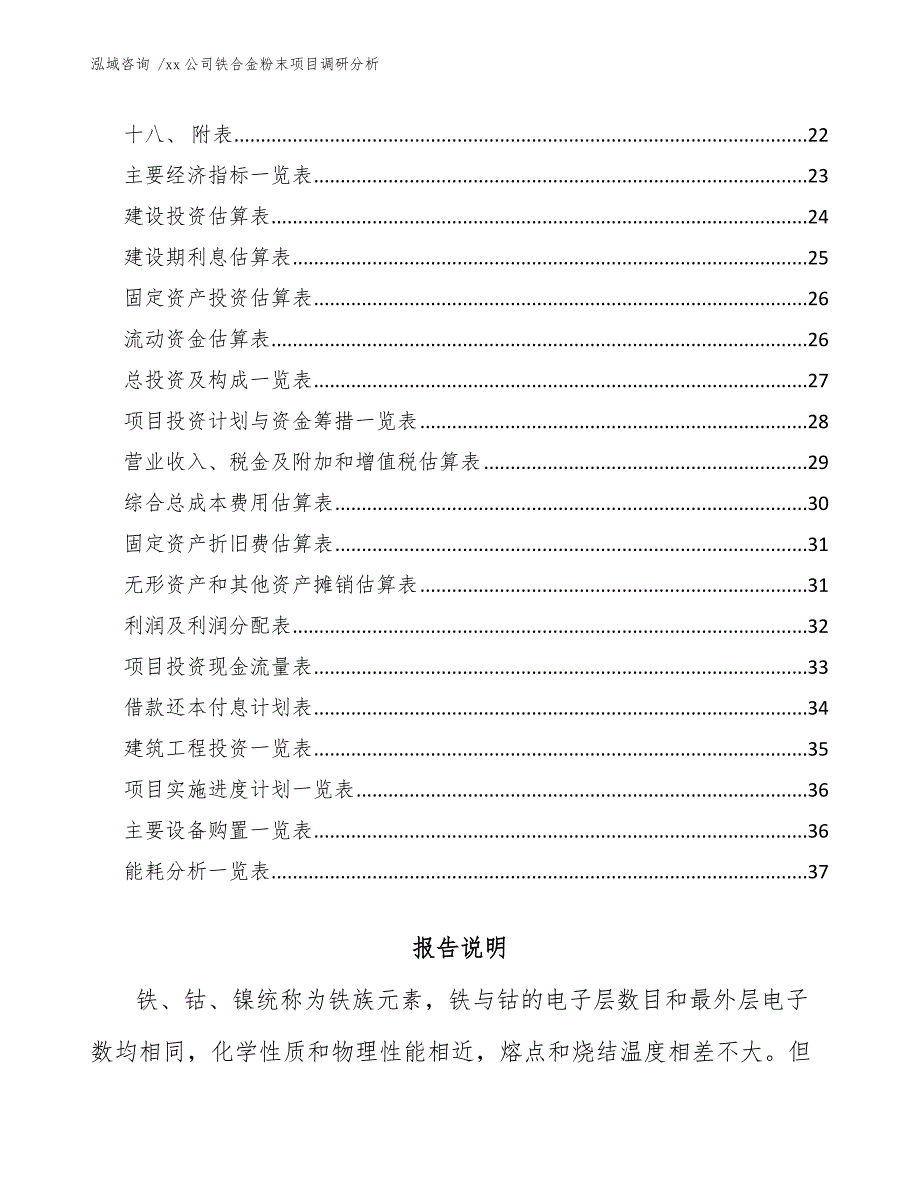 xx公司铁合金粉末项目调研分析（参考范文）_第2页