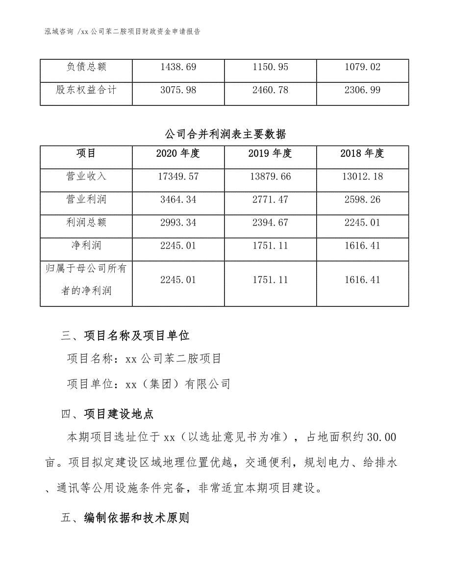 xx公司苯二胺项目财政资金申请报告（模板范文）_第5页