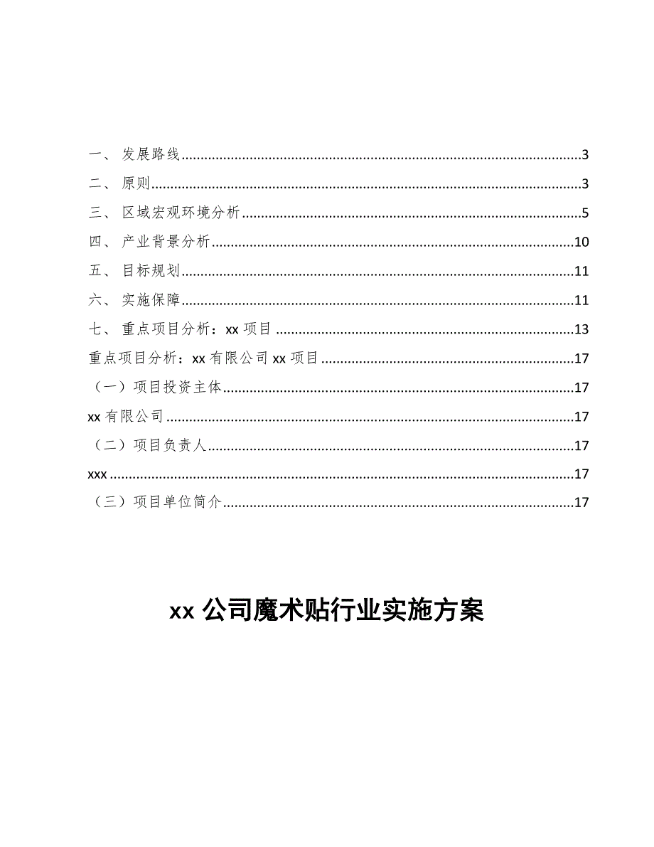 xx公司魔术贴行业实施方案（十四五）_第1页