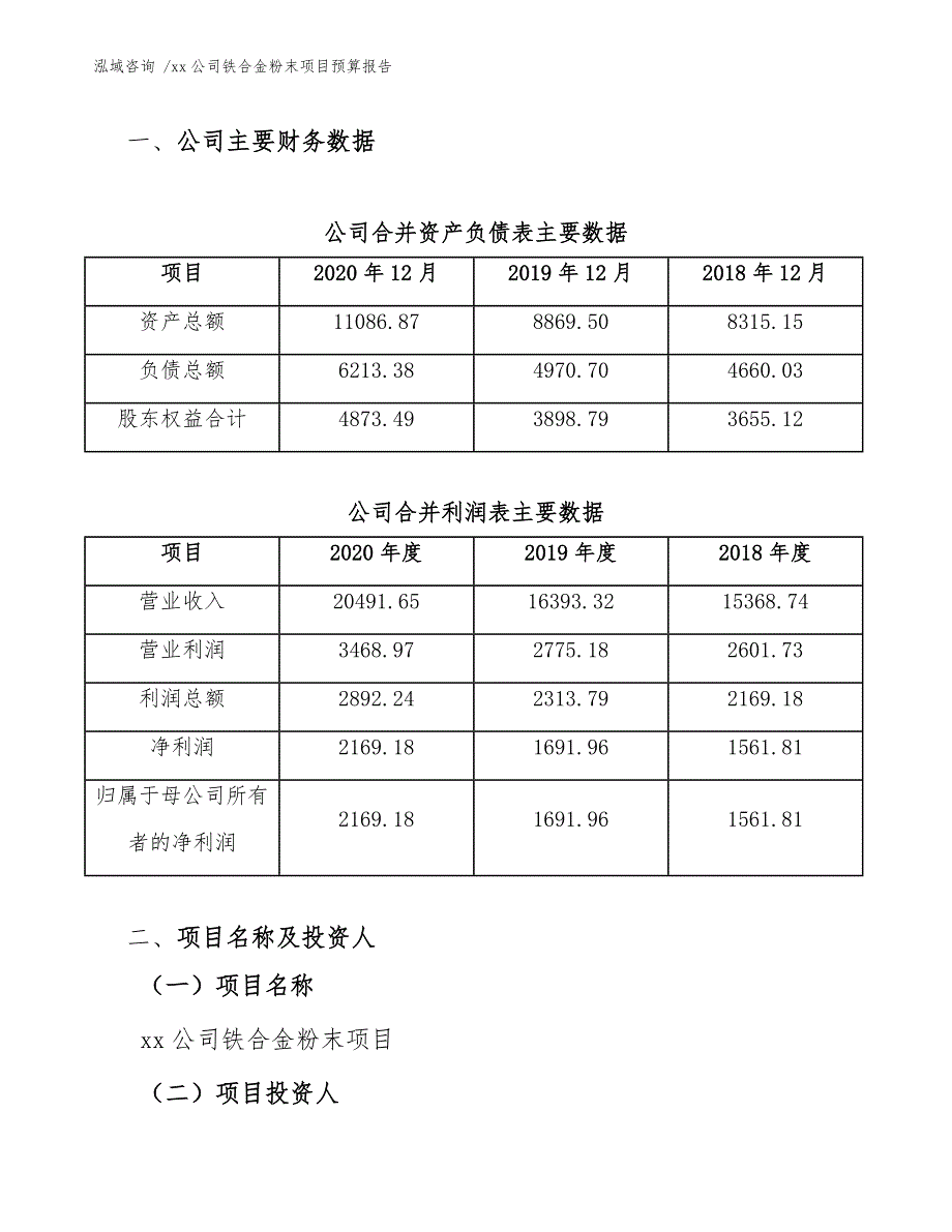 xx公司铁合金粉末项目预算报告（范文模板）_第3页