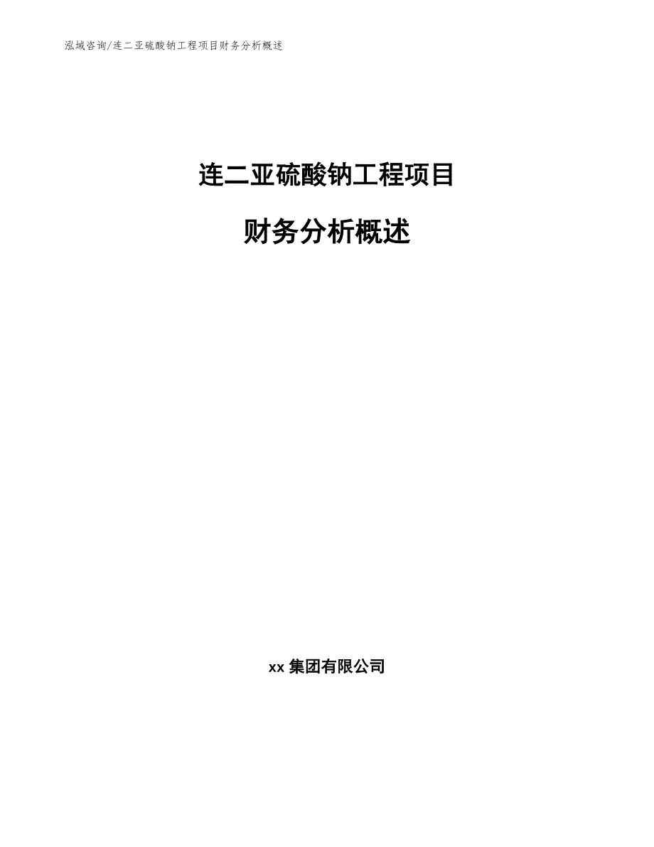 连二亚硫酸钠工程项目财务分析概述（工程项目组织与管理）_第1页