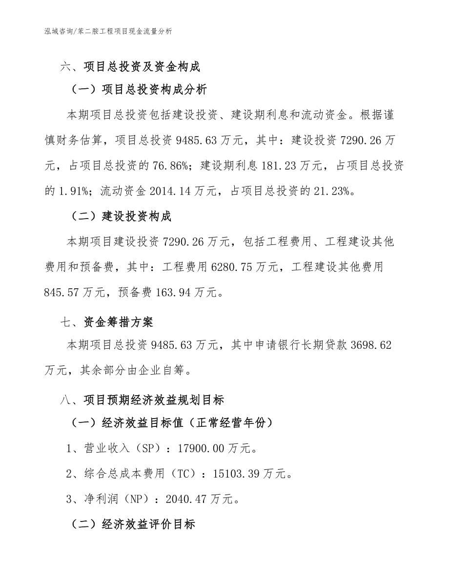 苯二胺工程项目现金流量分析（工程项目组织与管理）_第5页