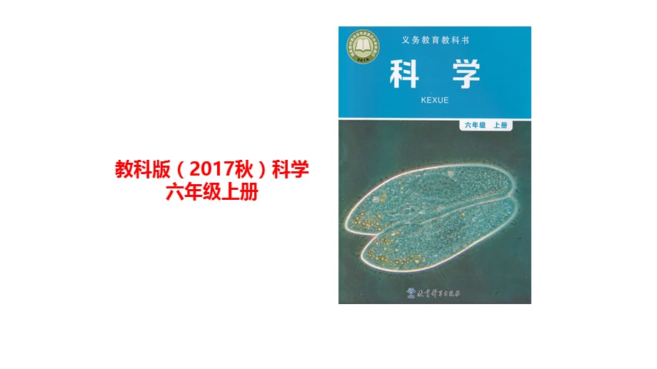 教科版科学六上 我们的地球模型 课件_第1页