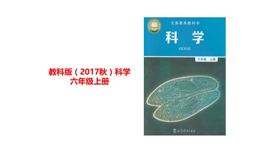 教科版科学六上 调查家中使用的能量 课件_第1页