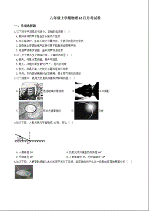 江苏省兴化市八年级上学期物理12月月考试卷含解析答案