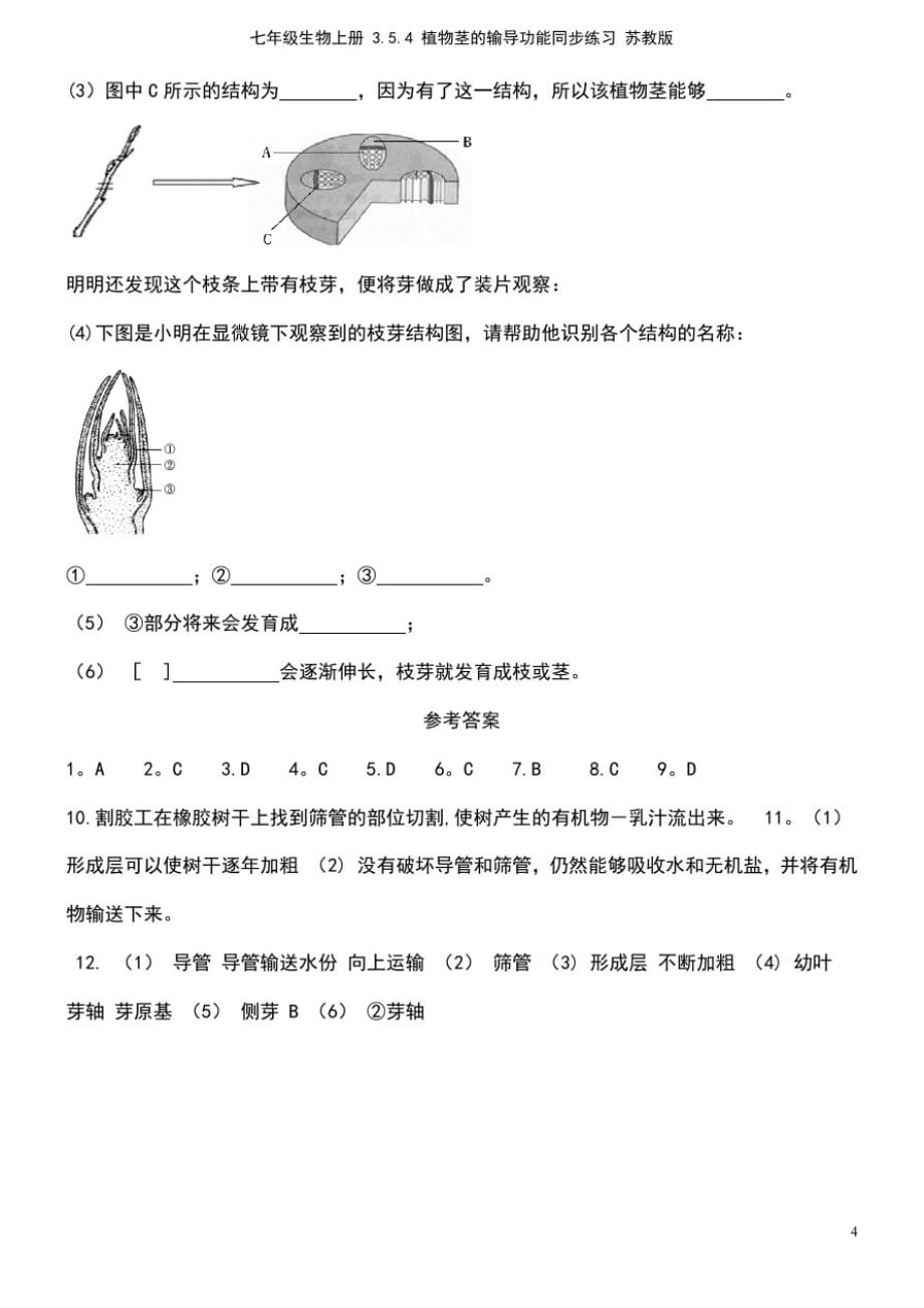 七年级生物上册3.5.4植物茎的输导功能同步练习苏教版(适用)_第4页