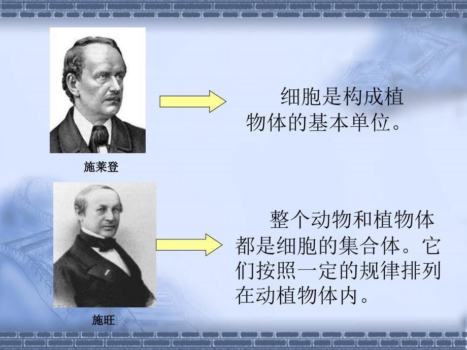 人和动物细胞的结构和功能 课件 苏教版七年级生物上册_第5页