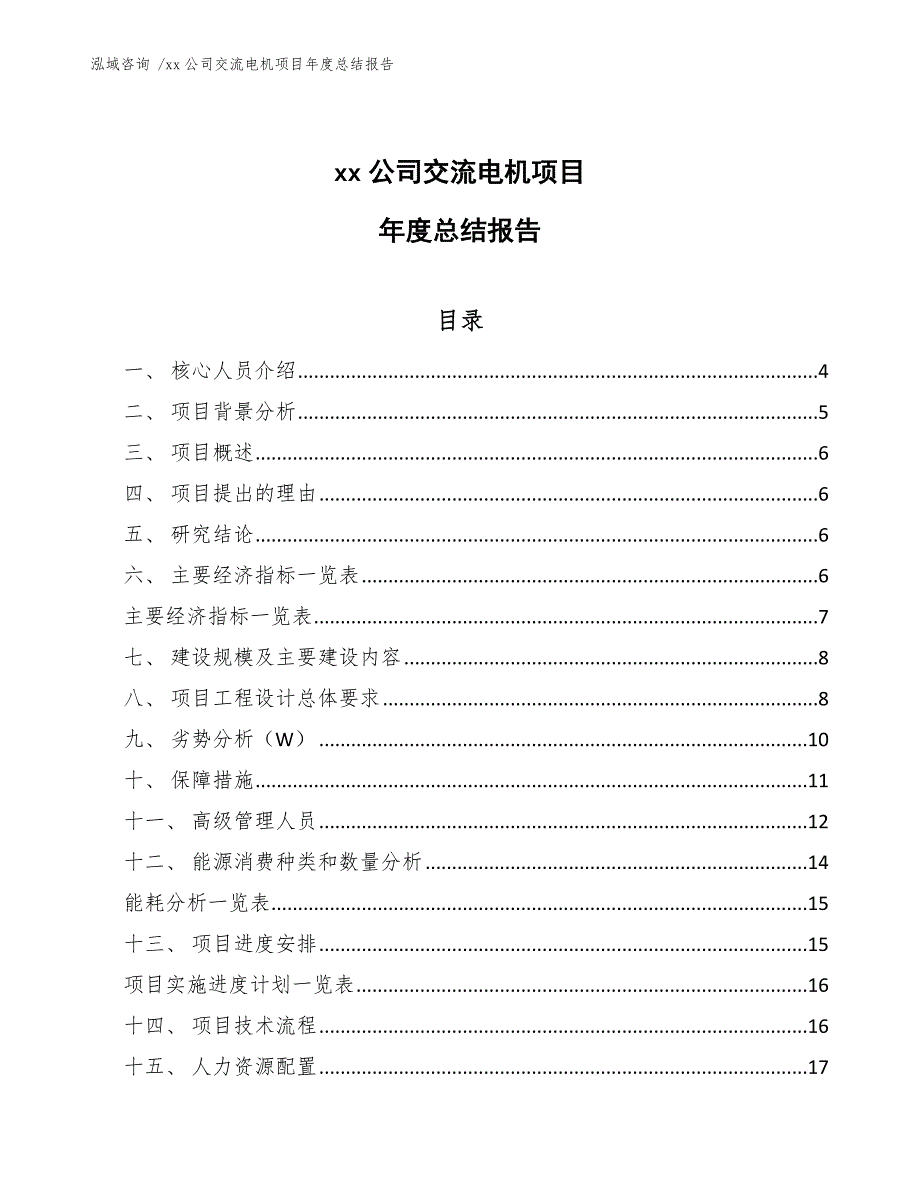 xx公司交流电机项目年度总结报告（模板范本）_第1页