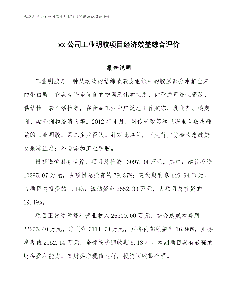 xx公司工业明胶项目经济效益综合评价（模板）_第1页