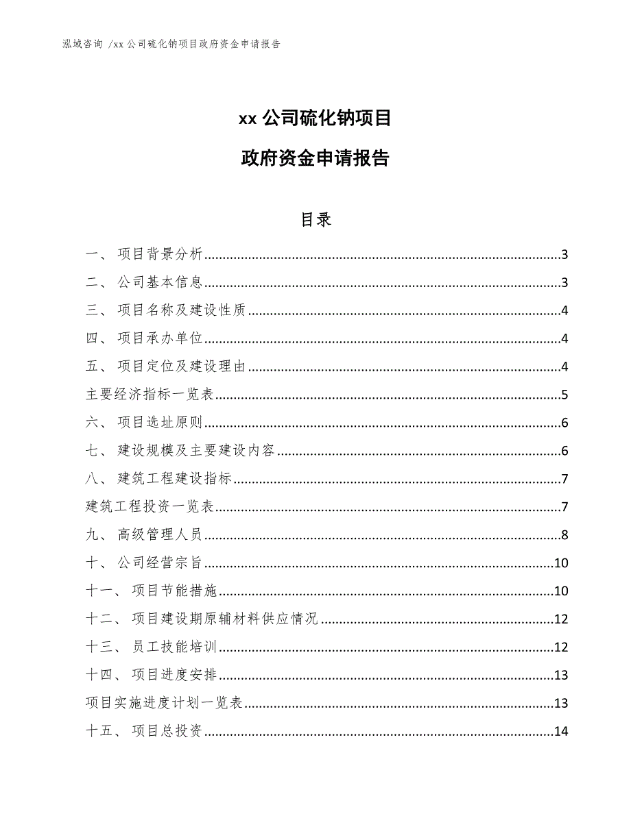 xx公司硫化钠项目政府资金申请报告（模板）_第1页