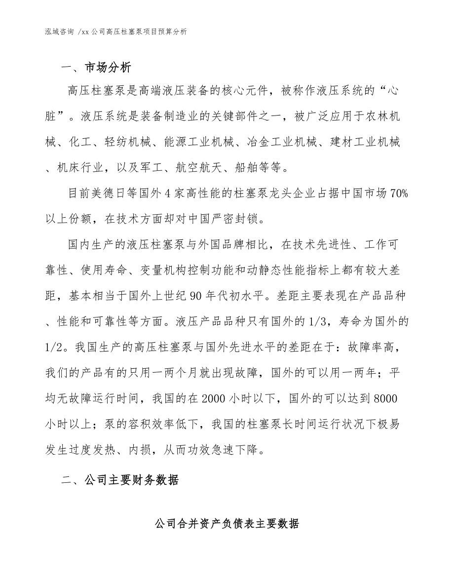 xx公司高压柱塞泵项目预算分析（模板范文）_第3页