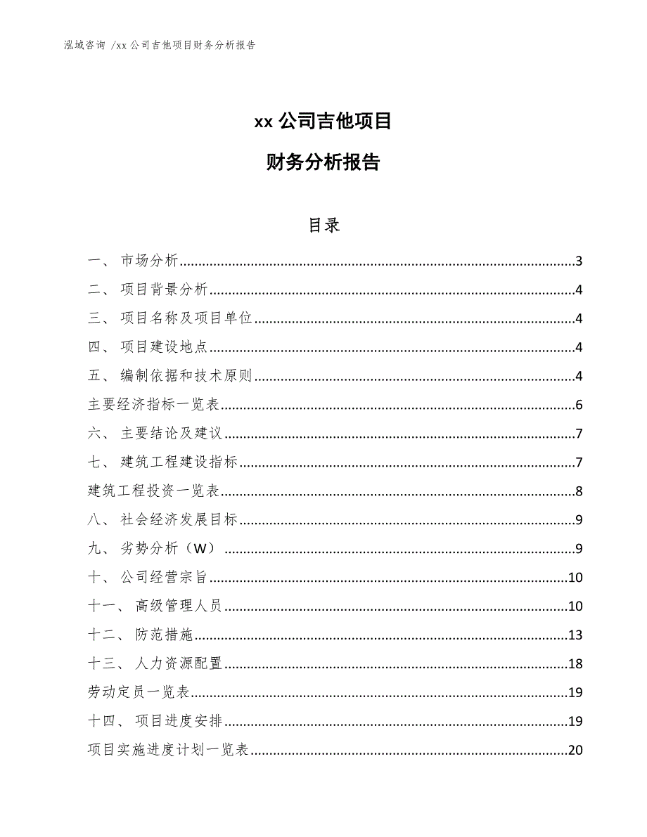 xx公司吉他项目财务分析报告（参考范文）_第1页