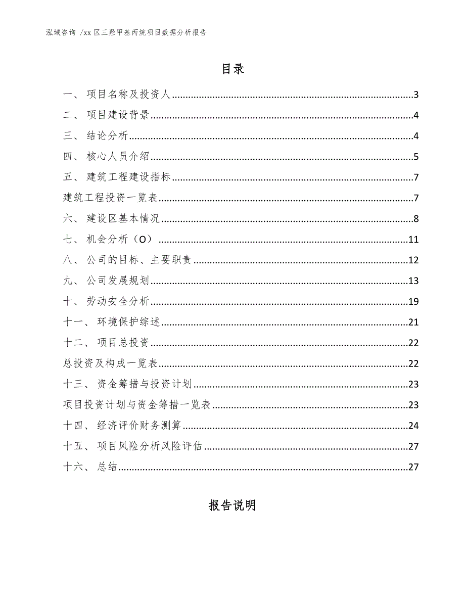 xx区三羟甲基丙烷项目数据分析报告（参考范文）_第2页