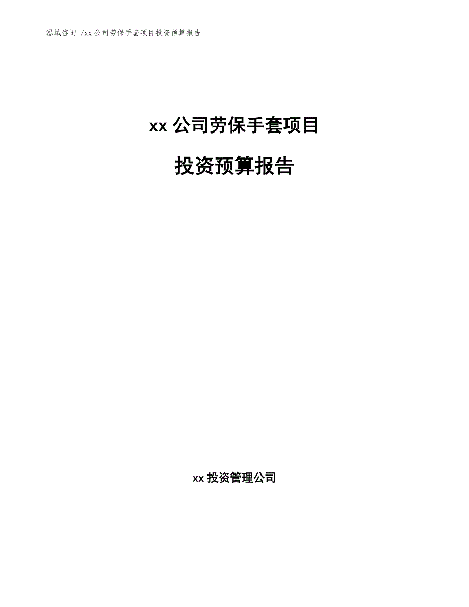 xx公司劳保手套项目投资预算报告（模板参考）_第1页