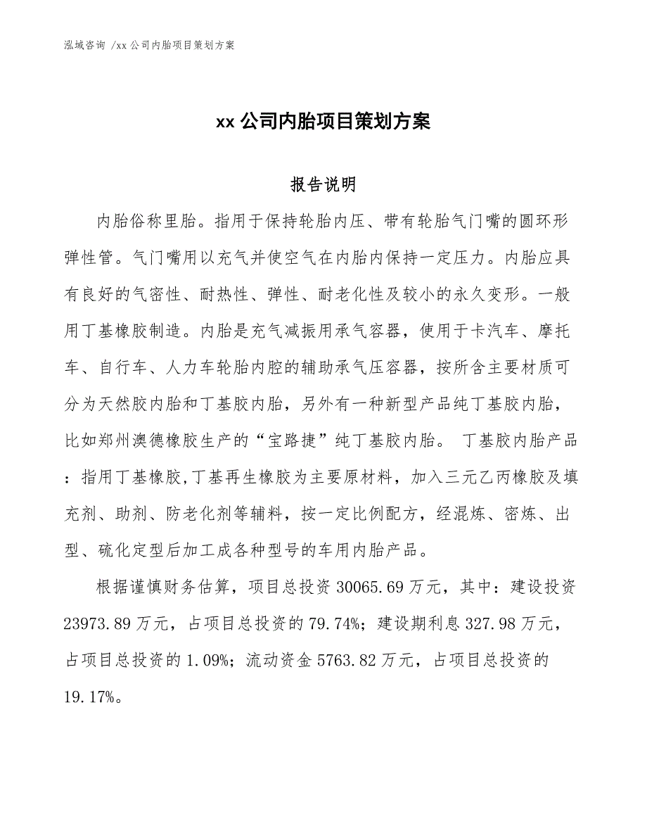 xx公司内胎项目策划方案（模板范文）_第1页