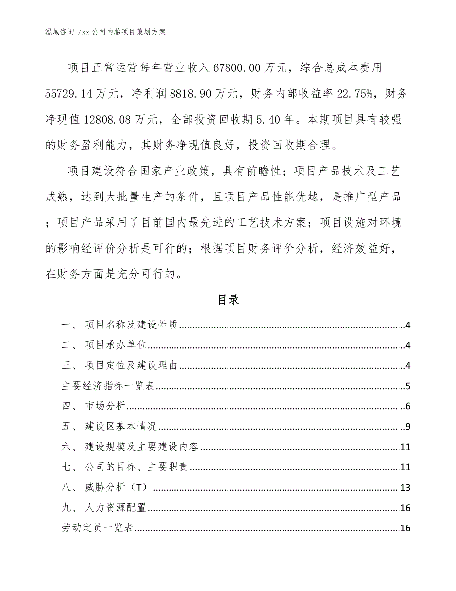 xx公司内胎项目策划方案（模板范文）_第2页