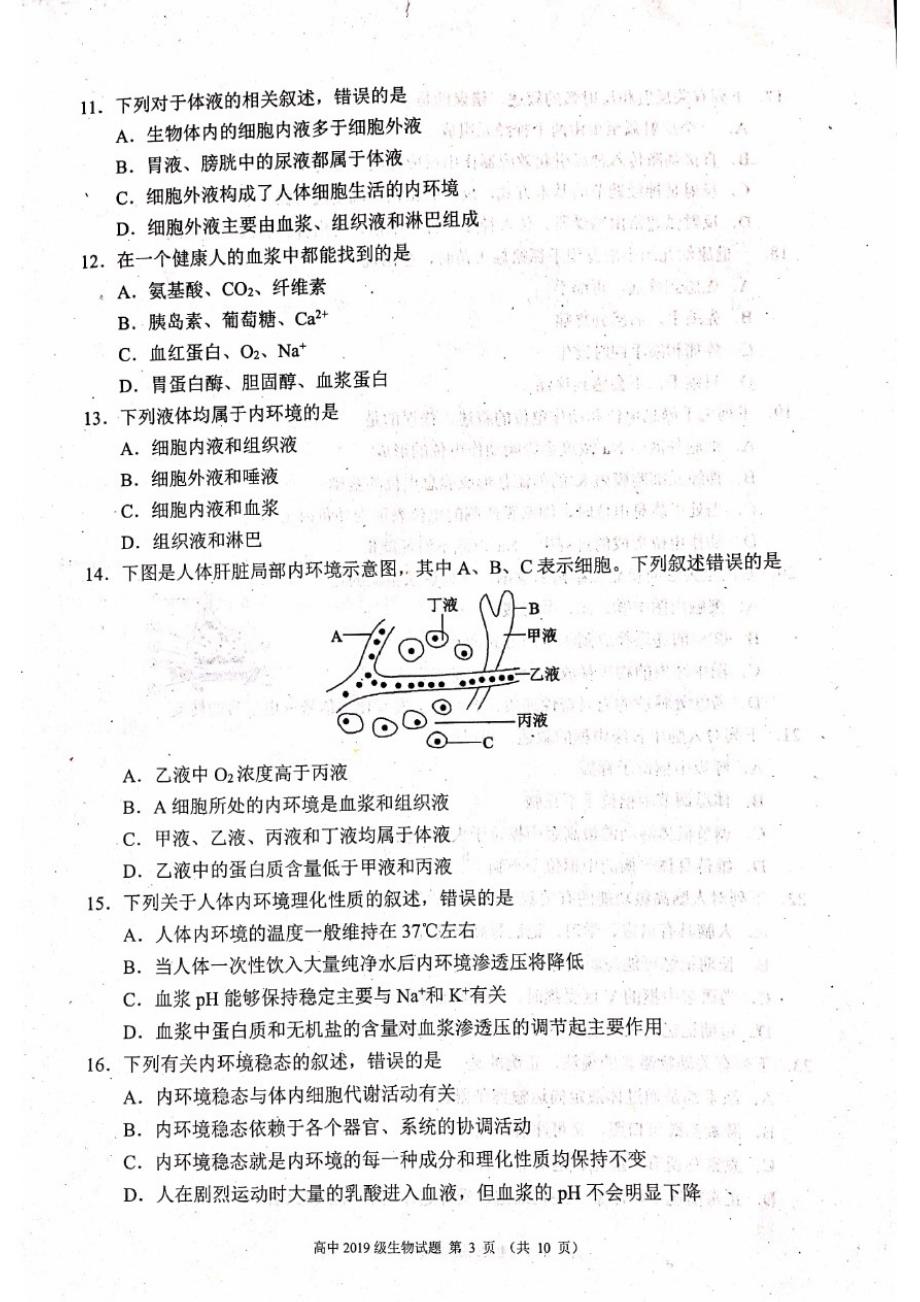 四川省成都市蓉城名校联盟2020-2021学年高二上学期期中联考生物试题_第3页