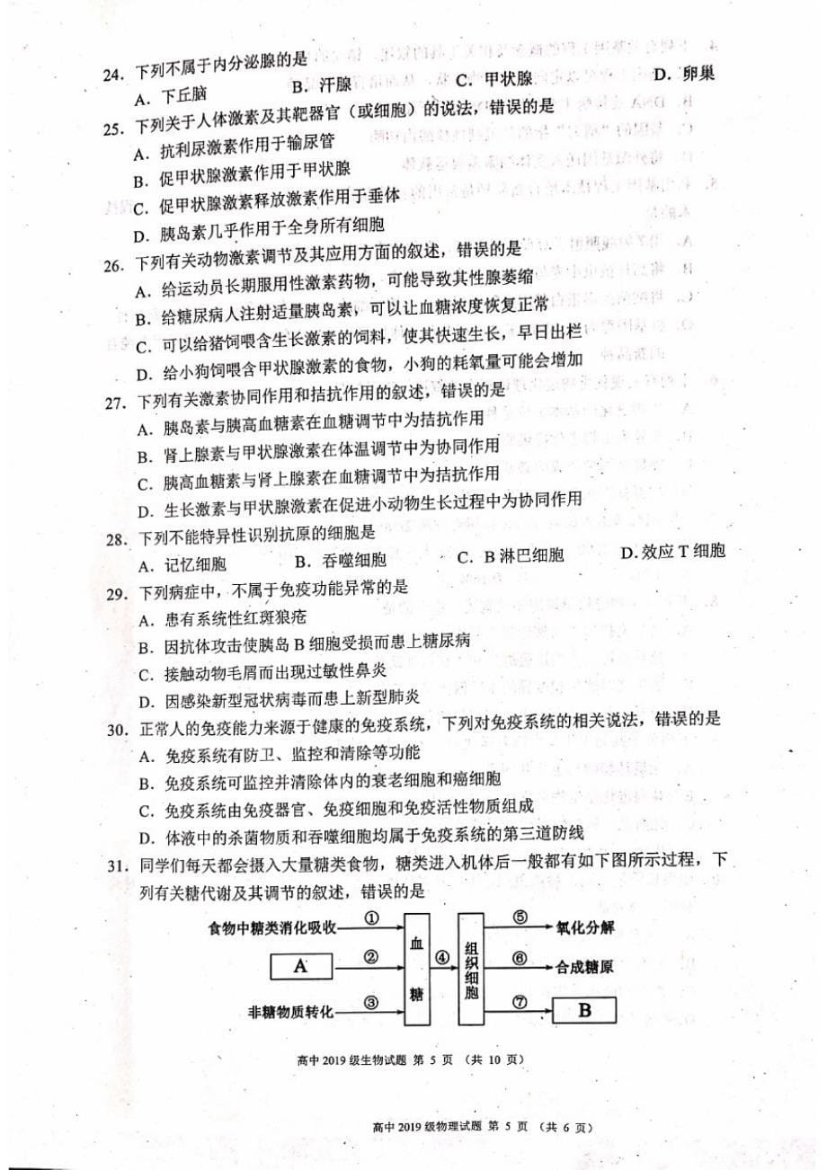 四川省成都市蓉城名校联盟2020-2021学年高二上学期期中联考生物试题_第5页