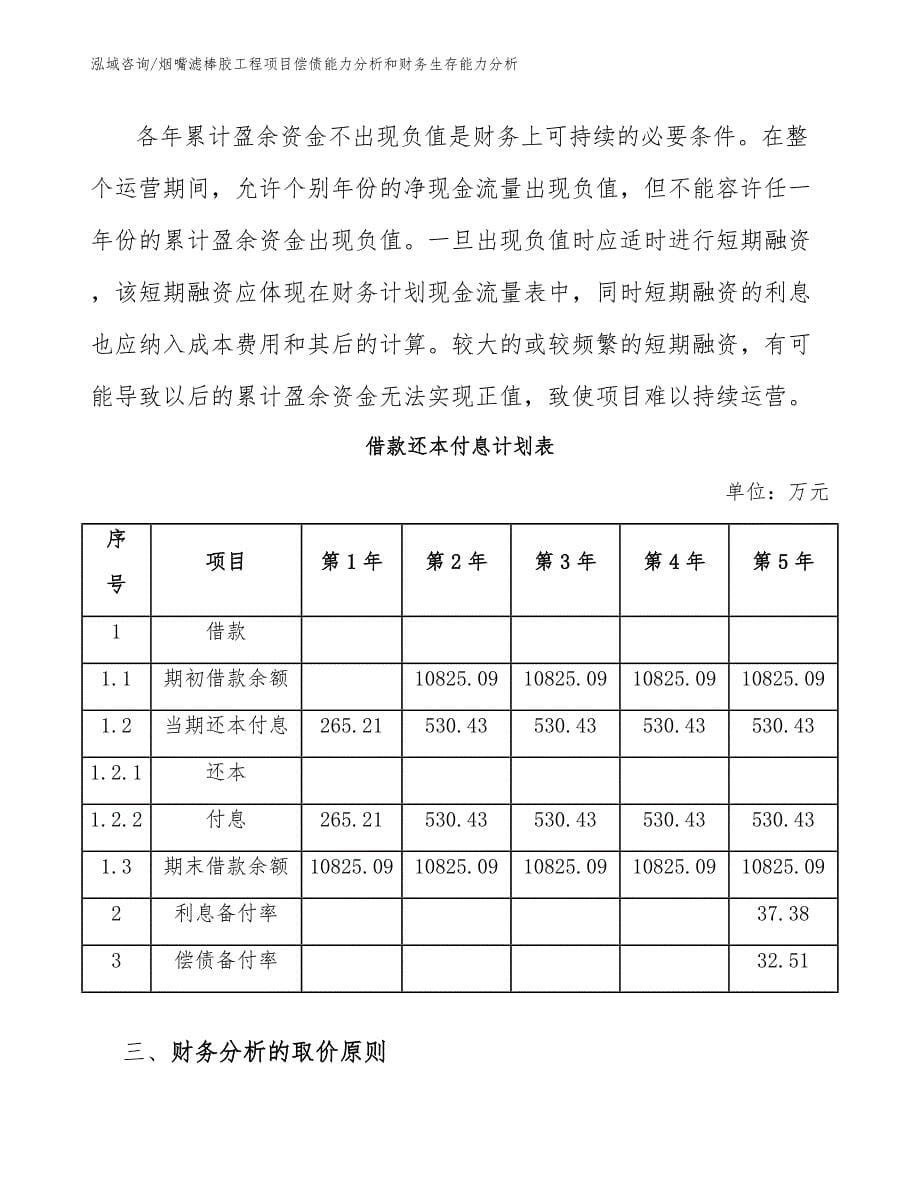 烟嘴滤棒胶工程项目偿债能力分析和财务生存能力分析（工程管理）_第5页