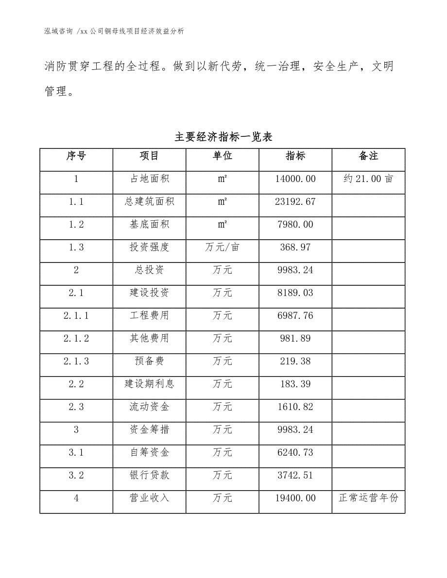 xx公司铜母线项目经济效益分析（模板范本）_第5页