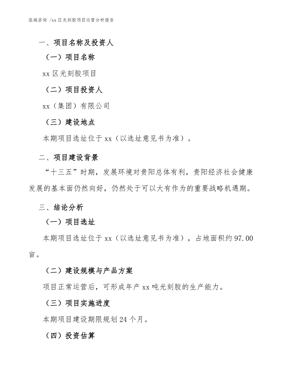 xx区光刻胶项目运营分析报告（范文模板）_第3页