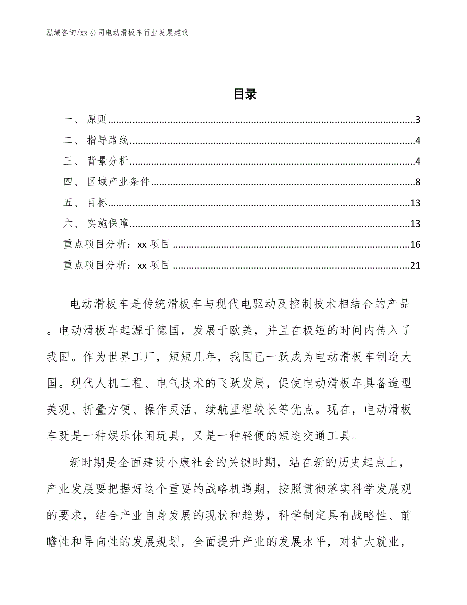 xx公司电动滑板车行业发展建议（意见稿）_第2页