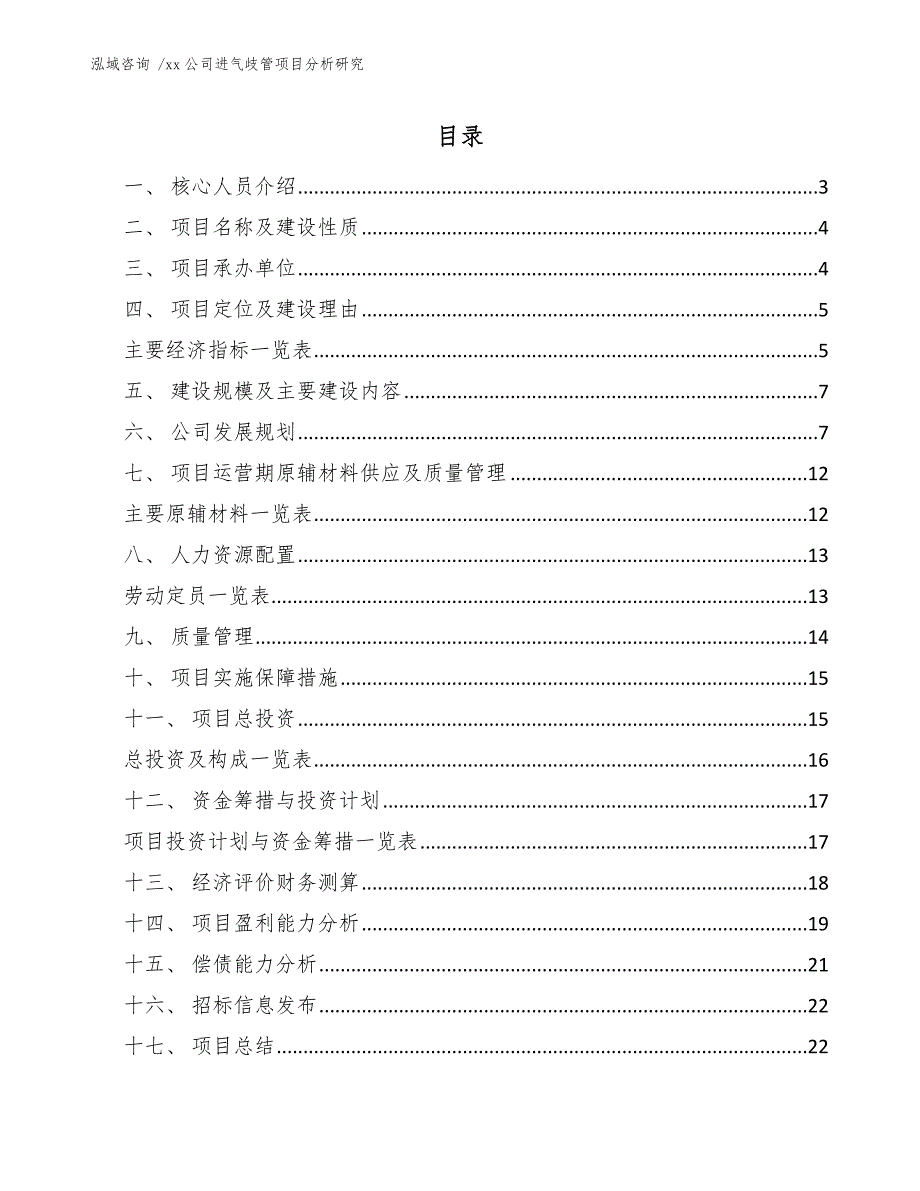 xx公司进气歧管项目分析研究（模板范文）_第1页