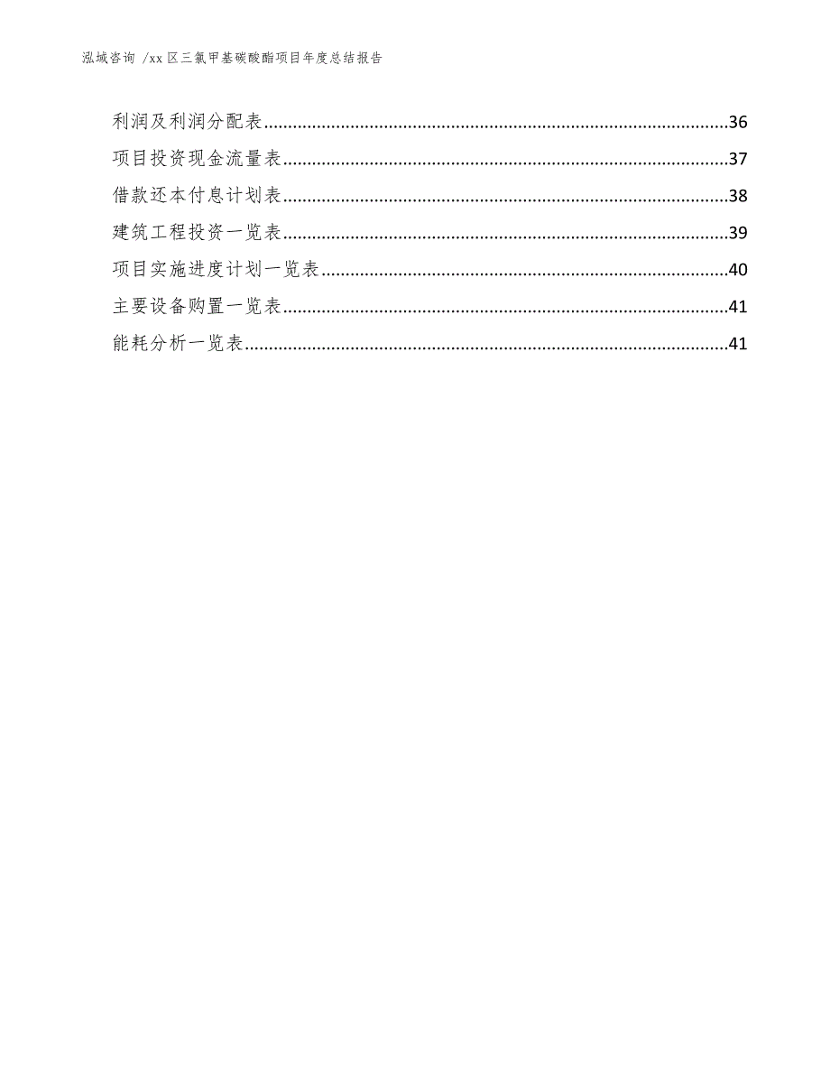 xx区三氯甲基碳酸酯项目年度总结报告（模板参考）_第3页