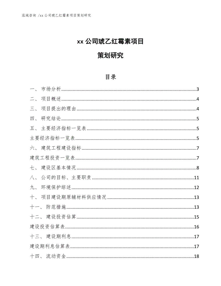 xx公司琥乙红霉素项目策划研究（参考模板）_第1页