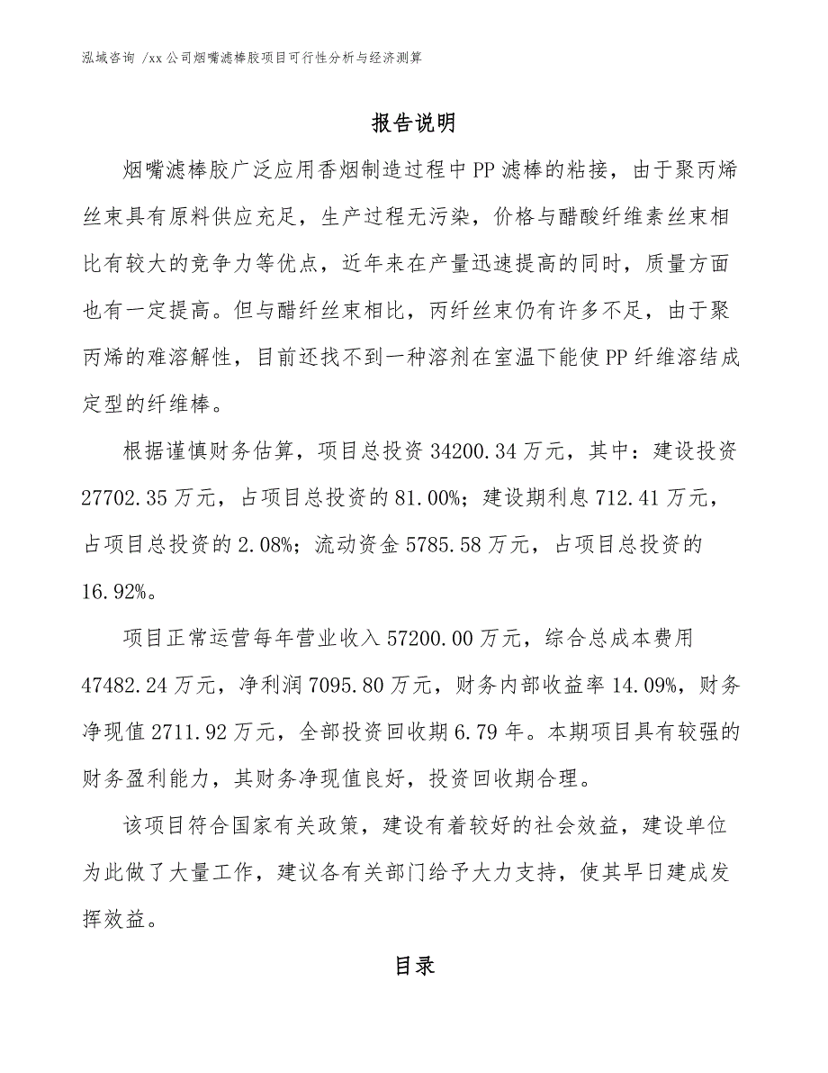 xx公司烟嘴滤棒胶项目可行性分析与经济测算（模板）_第1页