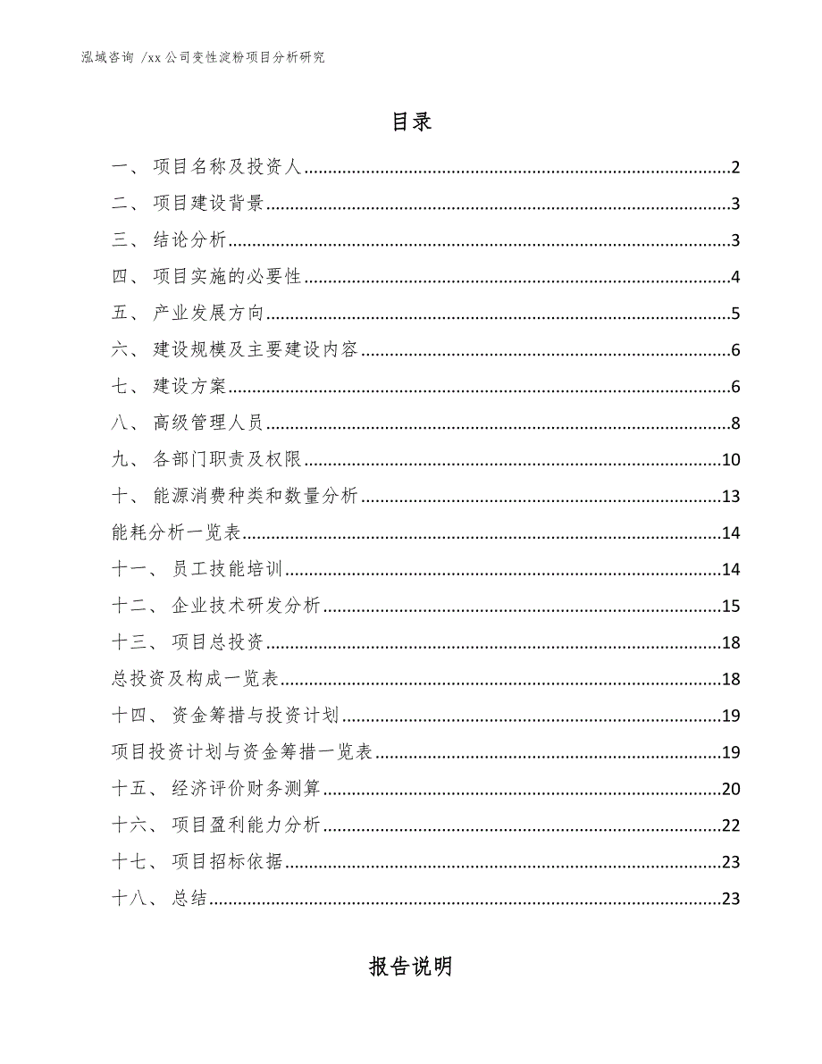 xx公司变性淀粉项目分析研究（模板）_第1页