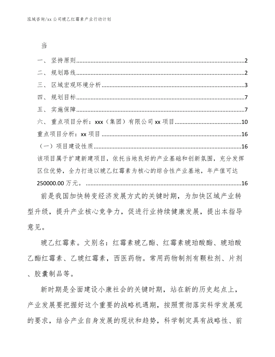 xx公司琥乙红霉素产业行动计划（意见稿）_第1页