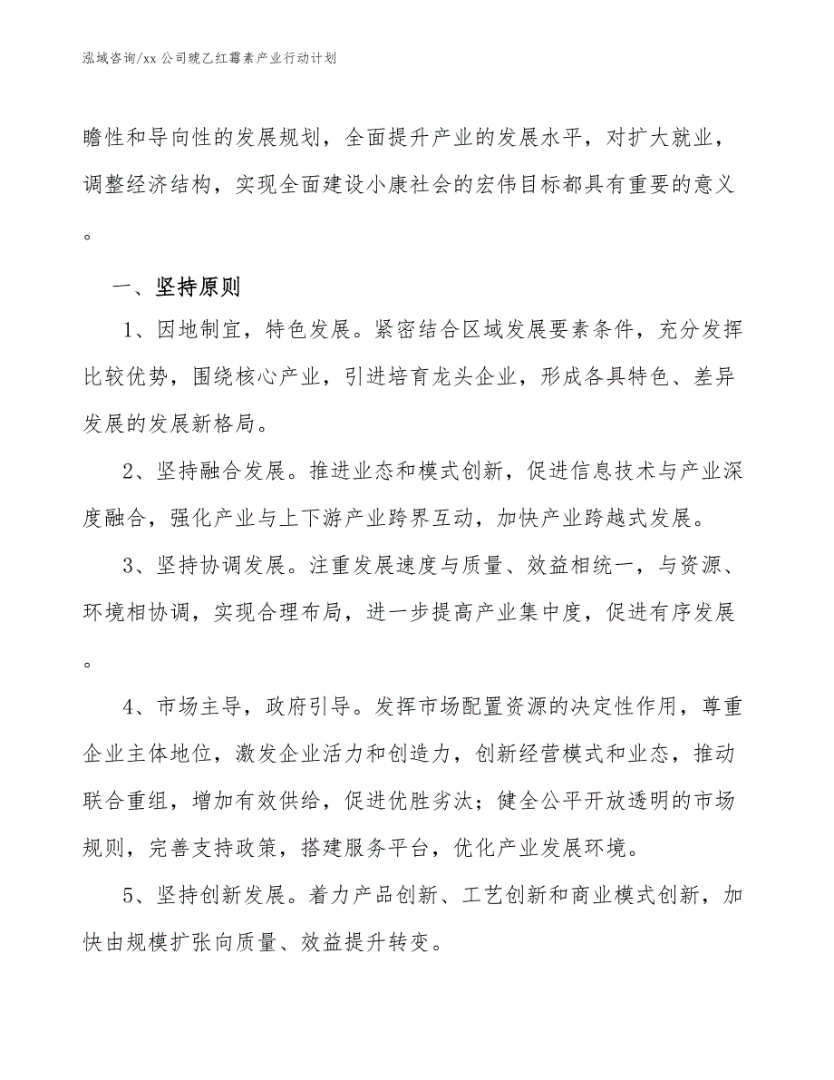 xx公司琥乙红霉素产业行动计划（意见稿）_第2页