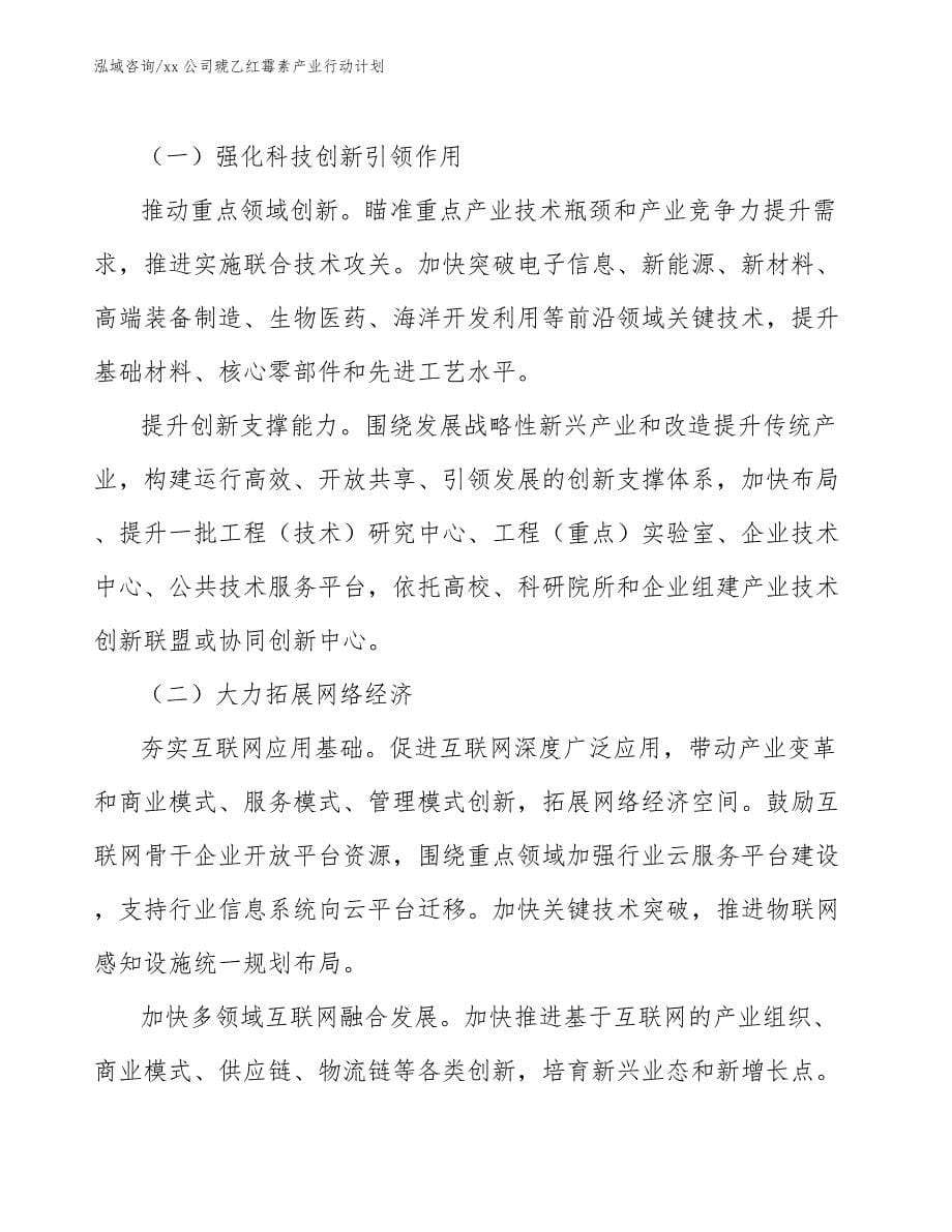 xx公司琥乙红霉素产业行动计划（意见稿）_第5页