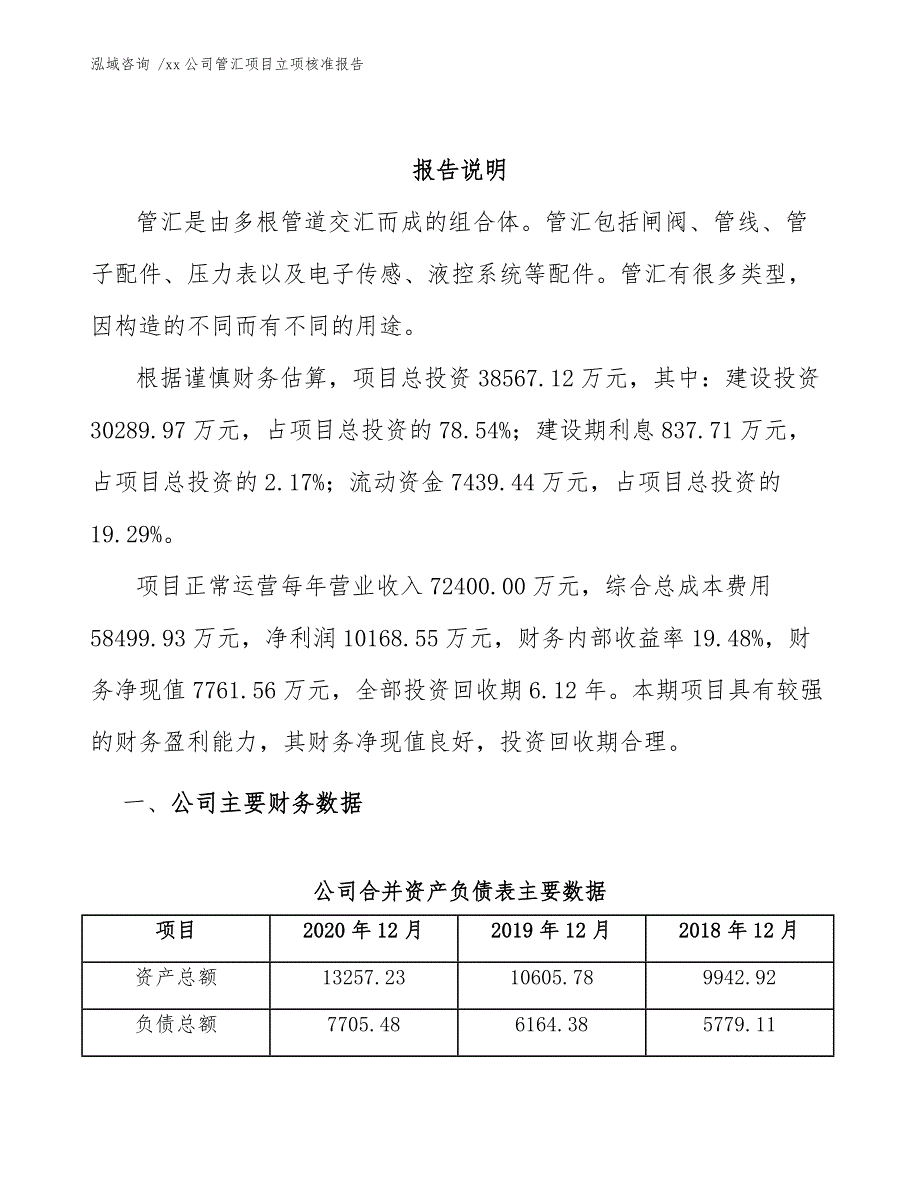 xx公司管汇项目立项核准报告（参考模板）_第2页