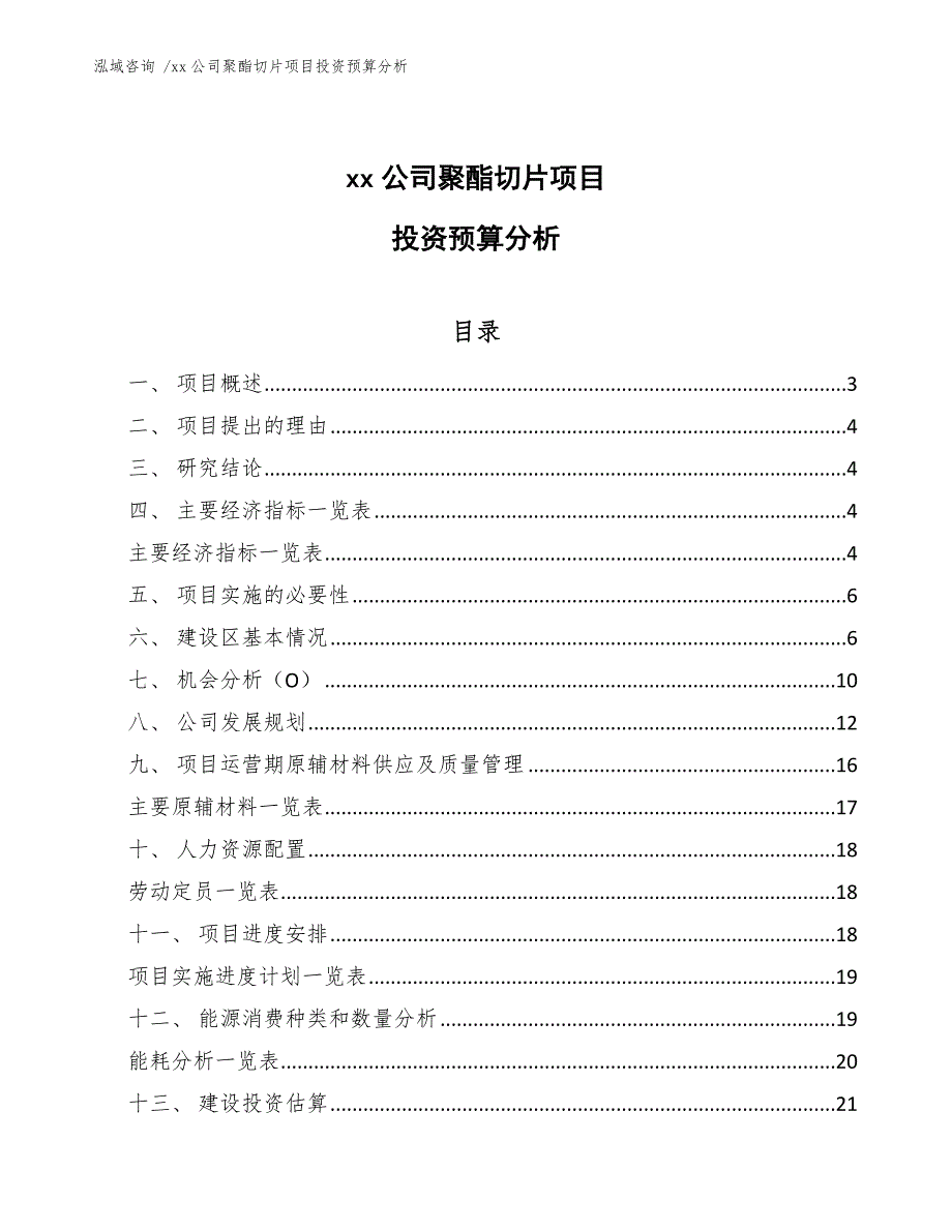 xx公司聚酯切片项目投资预算分析（模板）_第1页