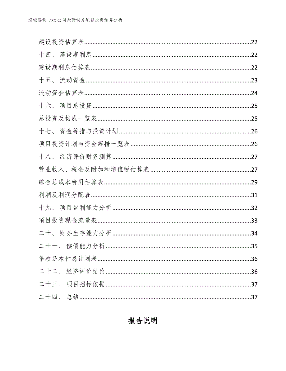 xx公司聚酯切片项目投资预算分析（模板）_第2页