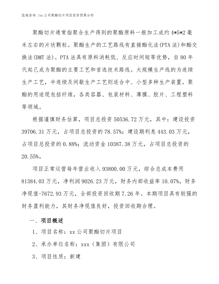 xx公司聚酯切片项目投资预算分析（模板）_第3页