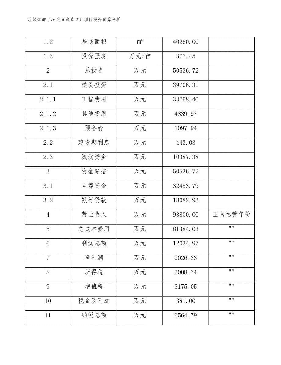 xx公司聚酯切片项目投资预算分析（模板）_第5页